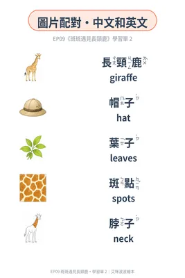 學習單 2：圖文配對（中英）